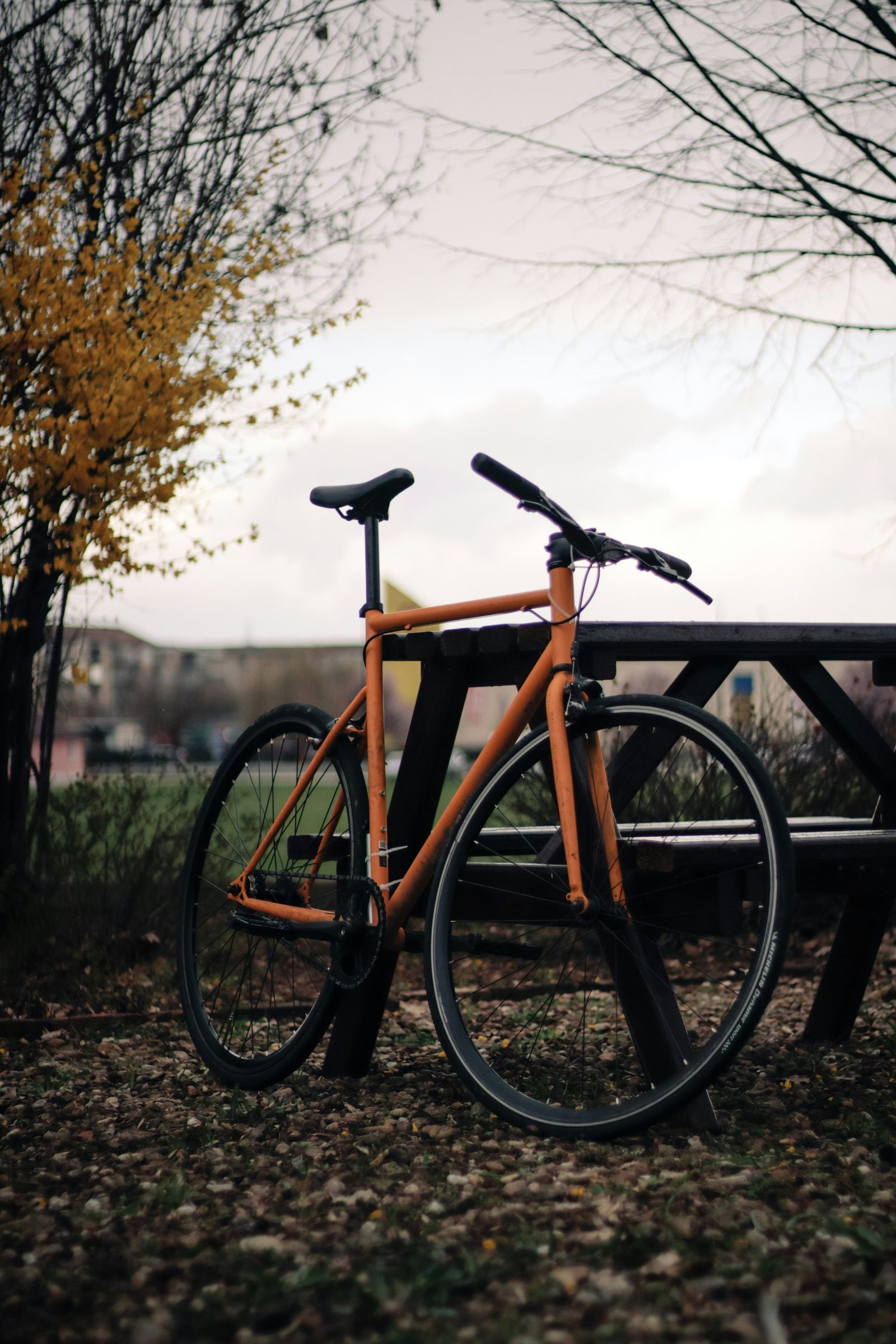 Orange bike parked outdoors under autumn trees