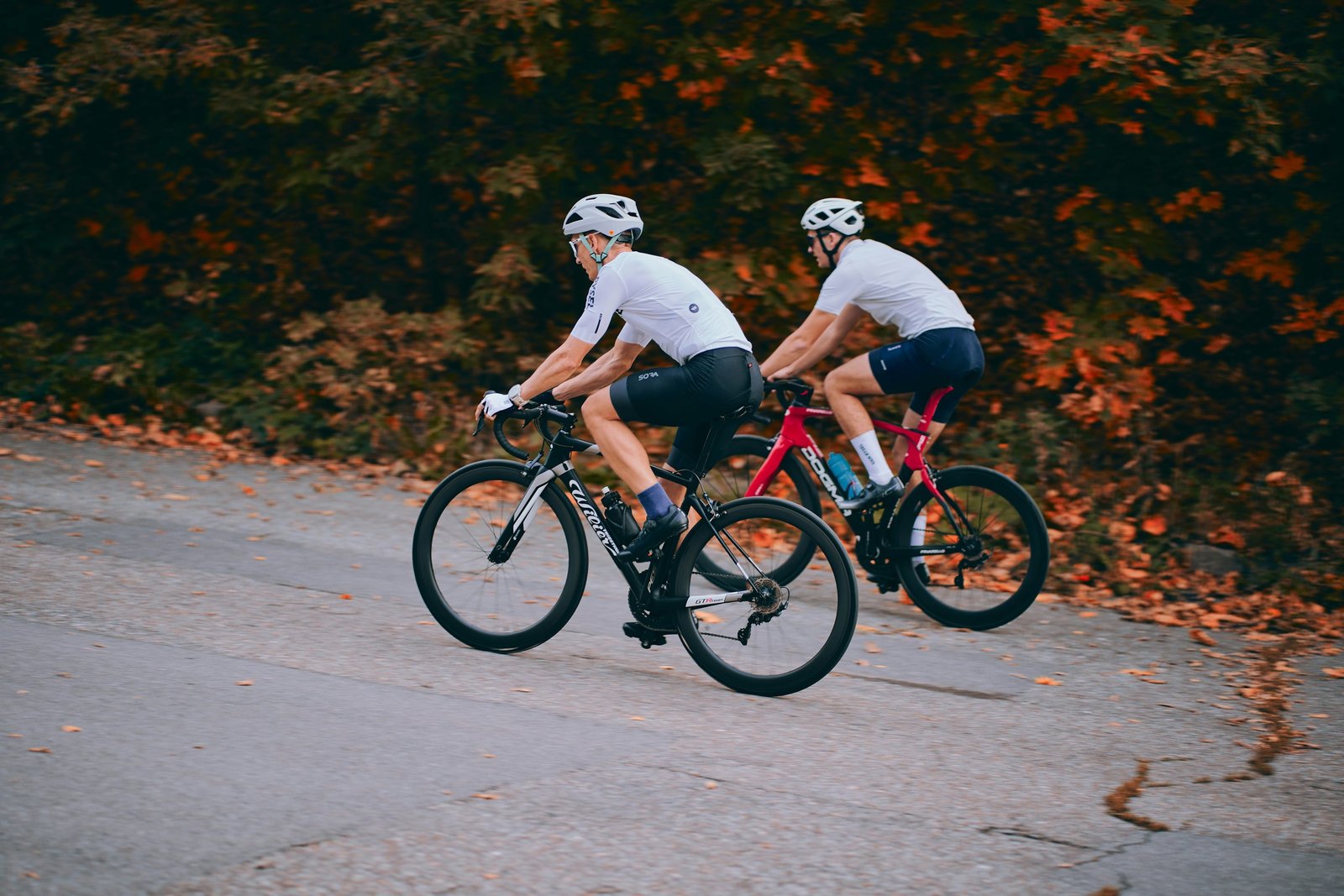 Cyclists riding along a sunny road