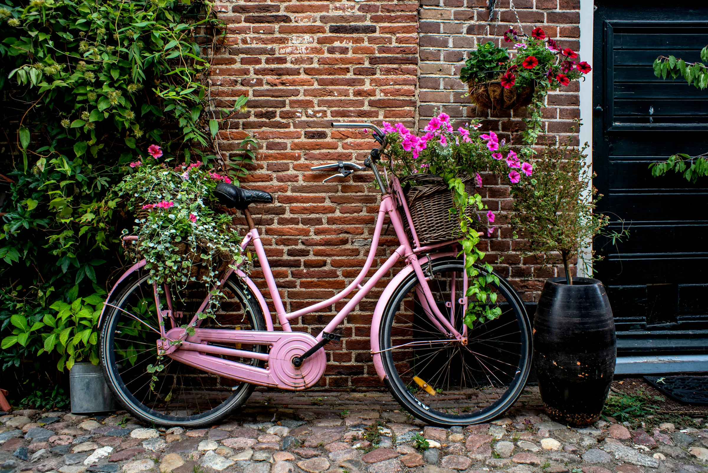 Pink city bike with a flower basket by a brick wall